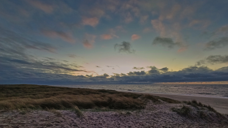 Urlaub mit Hund in Dänemark