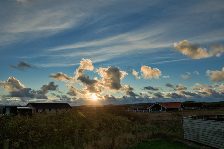 Urlaub mit Hund in Dänemark