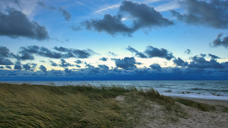 Urlaub mit Hund in Dänemark