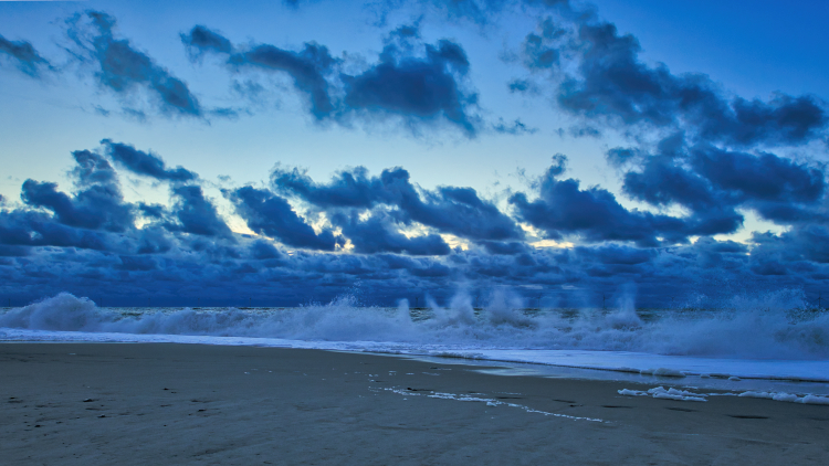 Urlaub mit Hund in Dänemark