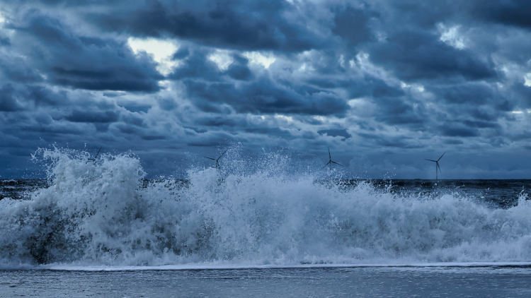 Urlaub mit Hund in Dänemark