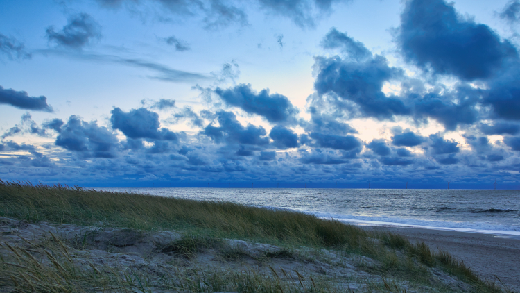 Urlaub mit Hund in Dänemark
