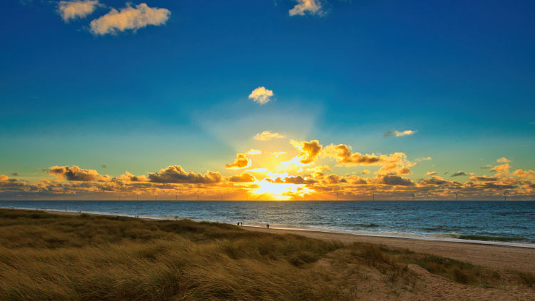 Urlaub mit Hund in Dänemark