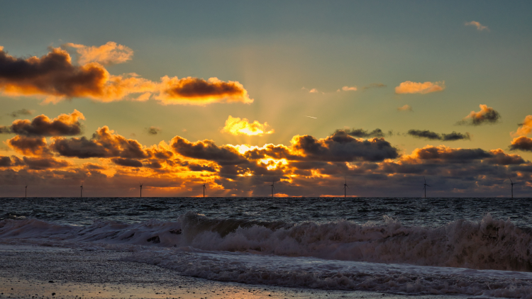Urlaub mit Hund in Dänemark