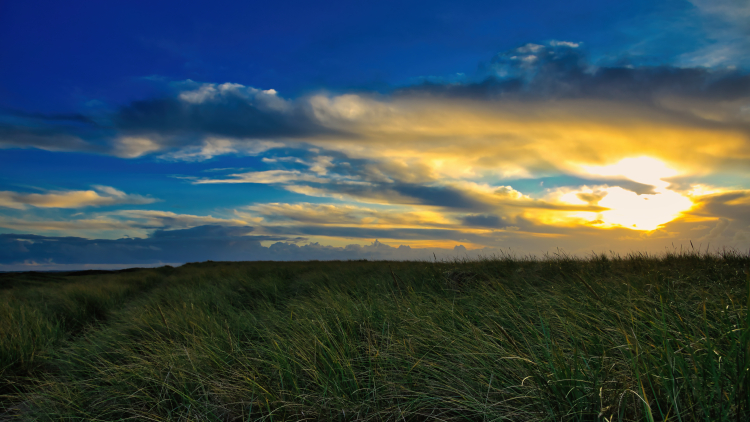 Urlaub mit Hund in Dänemark