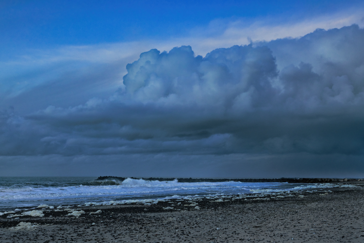 Urlaub mit Hund in Dänemark