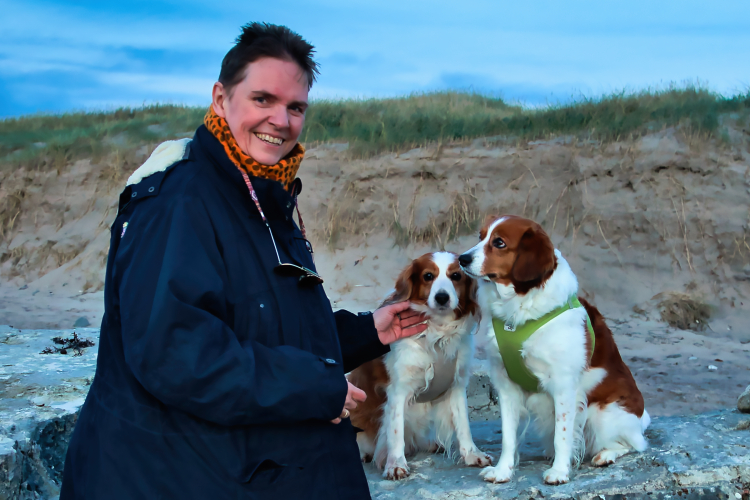 Urlaub mit Hund in Dänemark