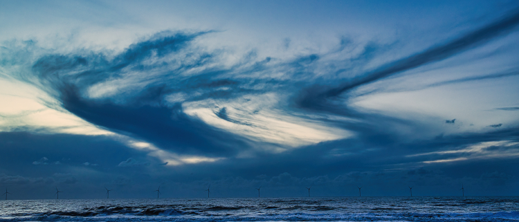 Urlaub mit Hund in Dänemark