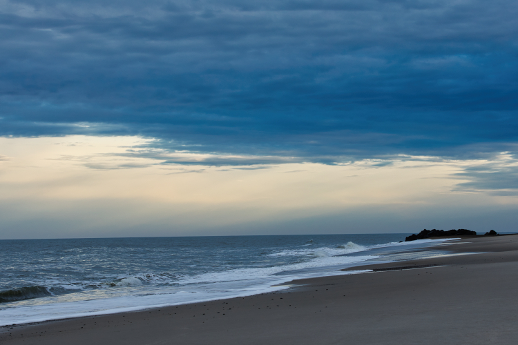 Urlaub mit Hund in Dänemark