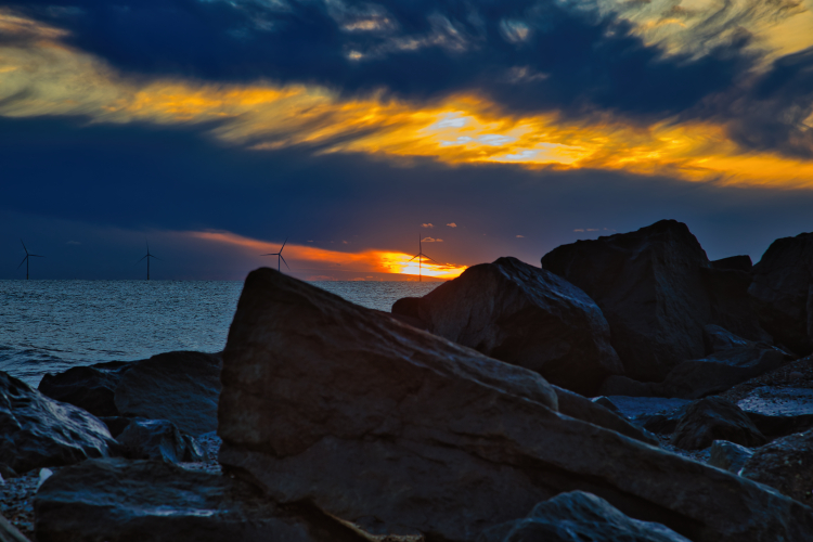 Urlaub mit Hund in Dänemark