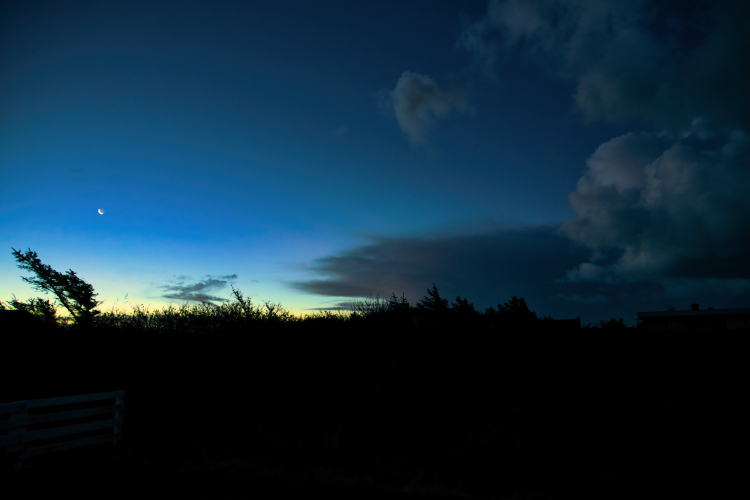 Urlaub mit Hund in Dänemark