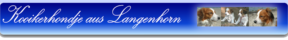 Kooikerhondje aus Langenhorn - Logo