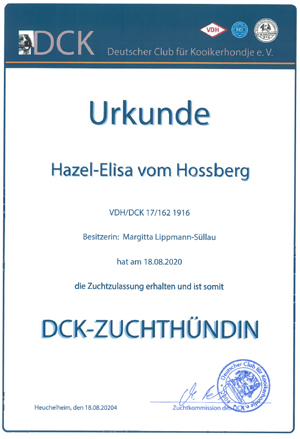 DCK Zuchtzulassung Hazel