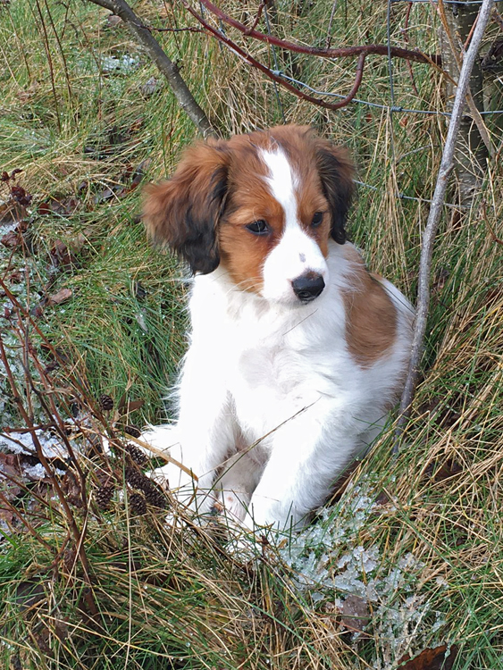 Cimba aus Langenhorn