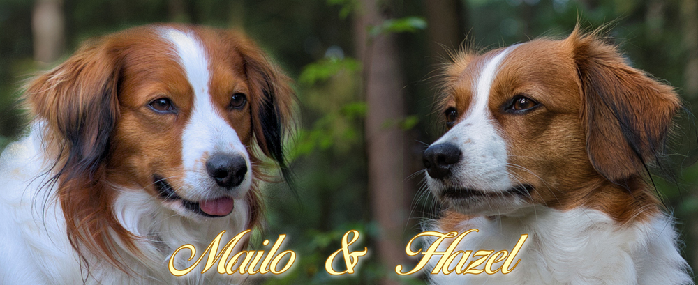 Mailo und Hazel