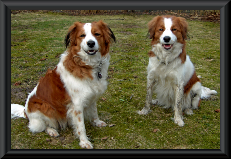 Charlotte und Kira 2010