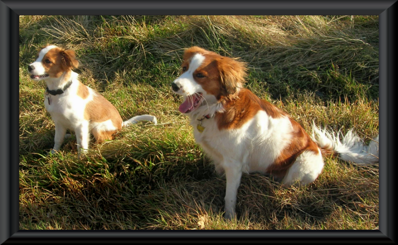 Charlotte und Kira 2008